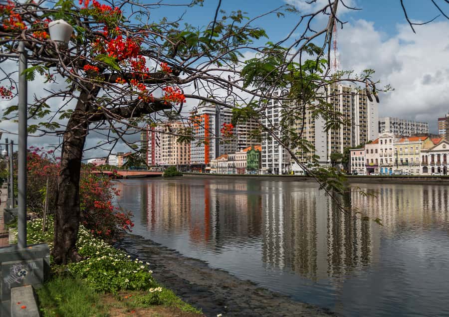 Recife: City Tour Recife & Olinda - Rua do Amparo: Workshops, Crafts, and Local Color