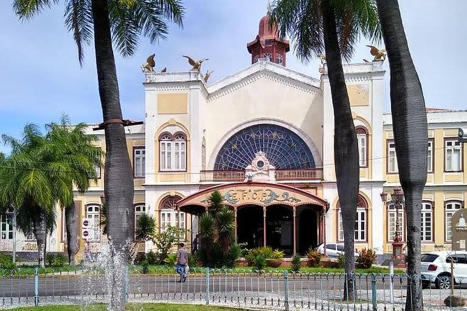Recife & Olinda City Tour - Starting along Boa Viagem’s broad shore