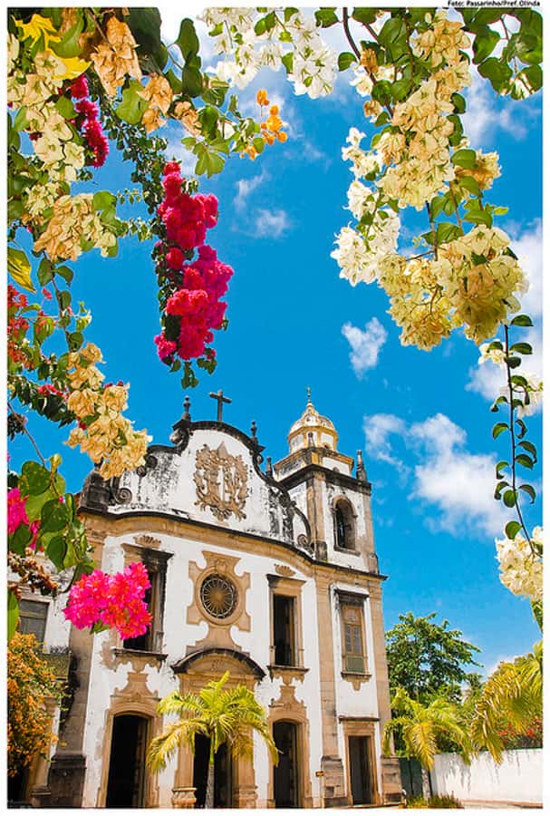 Recife & Olinda City Tour: Unveiling the Charm of Two Cities - Starting in Boa Viagem and Seeing Recife Beyond the Beach
