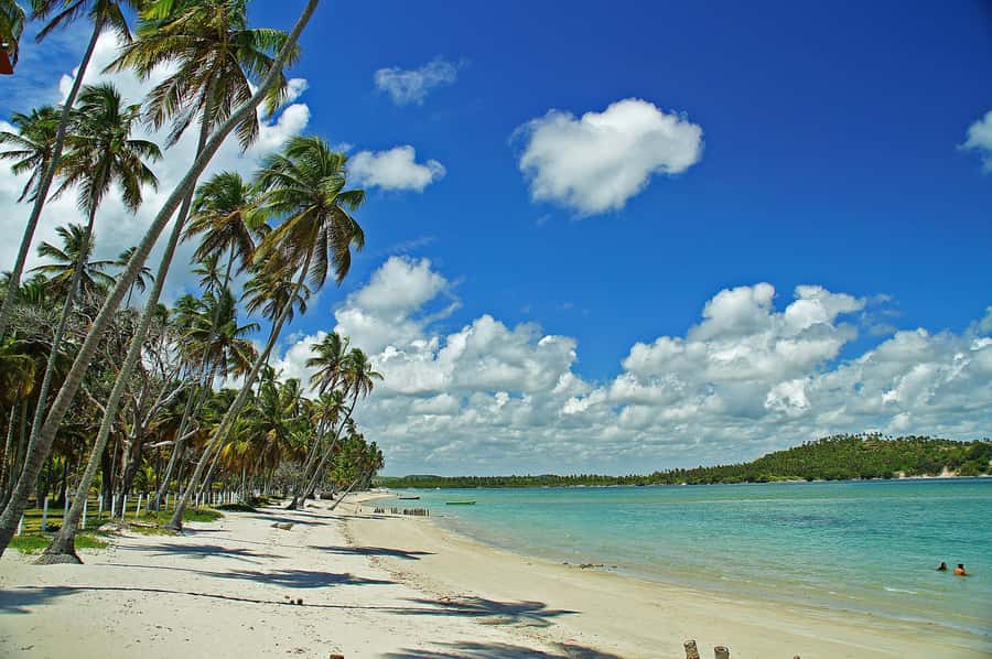 Recife: Tour to Carneiros with Catamaran Ride - The two-hour road ride: useful, but not short