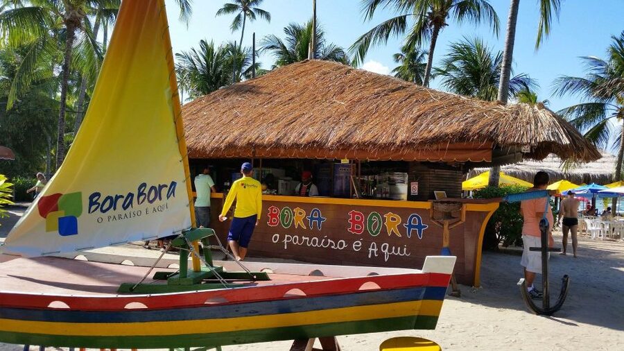 Recife: Tour to Carneiros with Catamaran Ride - The catamaran ride along the mangroves