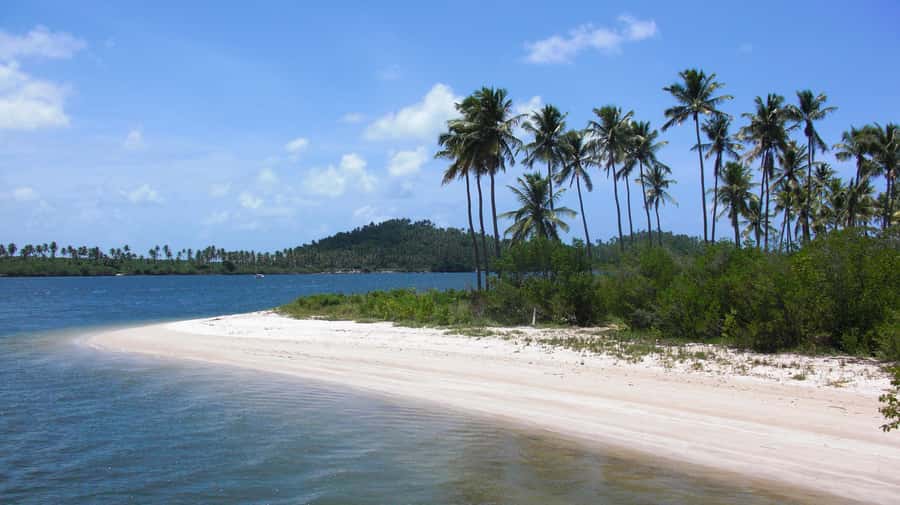 Recife: Tour to Carneiros with Catamaran Ride - Hotel pickup keeps the morning straightforward