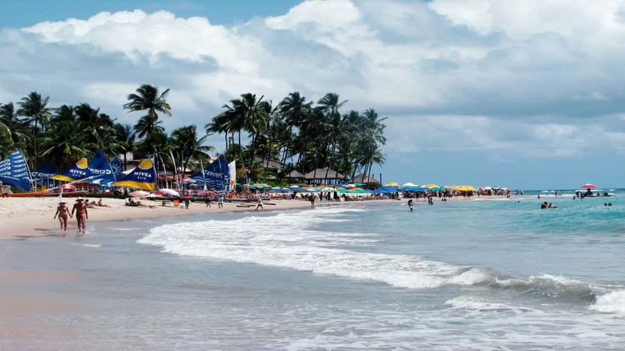 Recife: Tour to Porto de Galinhas - Key points to know before booking