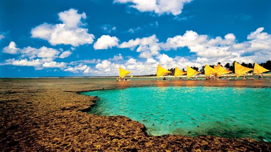 Recife: Tour to Porto de Galinhas - Why Porto de Galinhas makes a good day trip from Recife