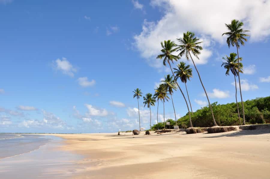 Recife: Tour to Porto de Galinhas - Four hours beside Porto de Galinhas beach