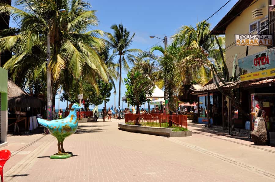 Recife: Tour to Porto de Galinhas - Eating regional food without a meal plan