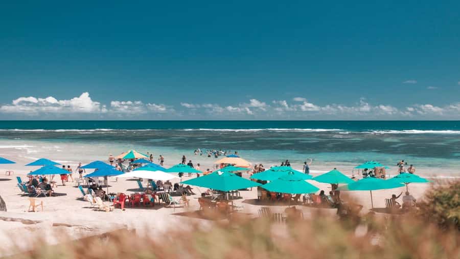 Recife: Tour to Porto de Galinhas - What to bring for the beach stop
