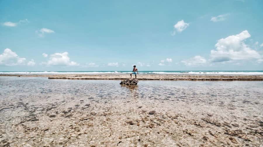 Recife: Tour to Porto de Galinhas - The two-hour van ride from Recife