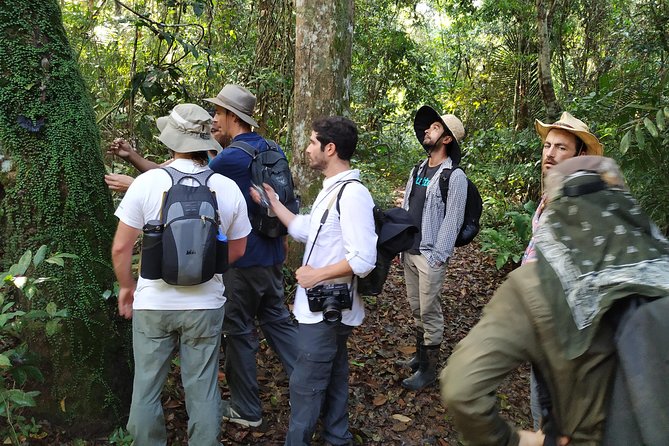 Regional Cruise in the Amazon - Key points at a glance