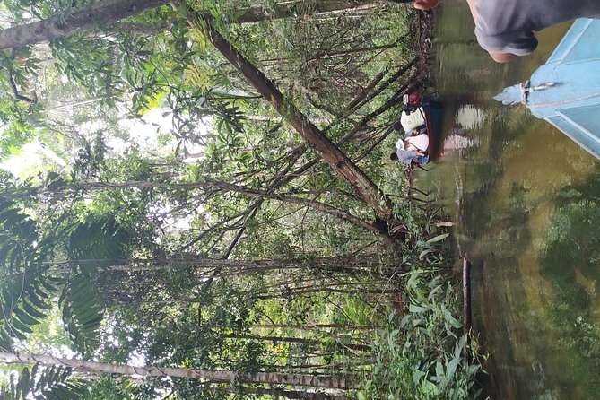 Regional Cruise in the Amazon - Meals, drinks, and life aboard the boat