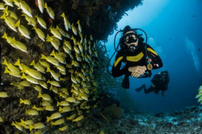Best Dive Experience All Inclusive Scuba Diving Package