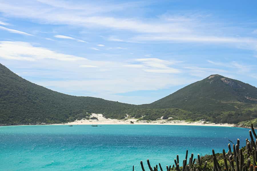 Rio: Best Dive Experience All Inclusive Scuba Diving Package - Snacks, lunch, and the return to Rio