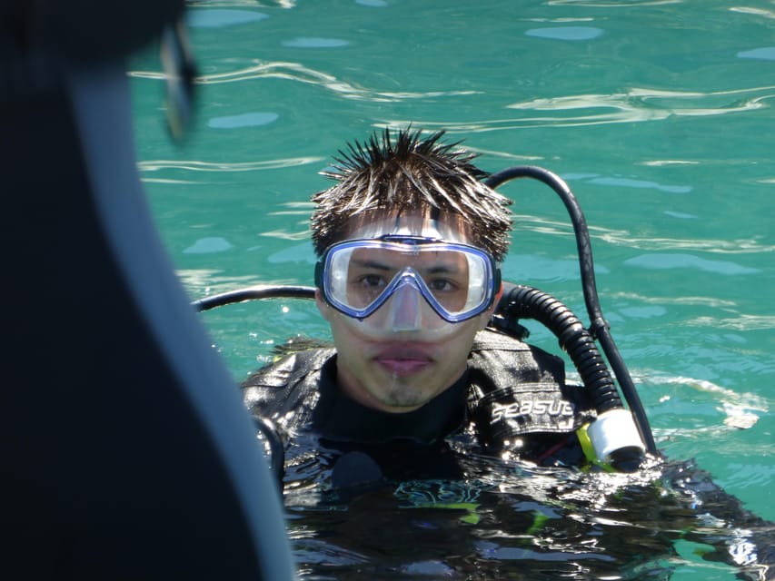 Rio: Best Dive Experience All Inclusive Scuba Diving Package - Is $240 a fair price?