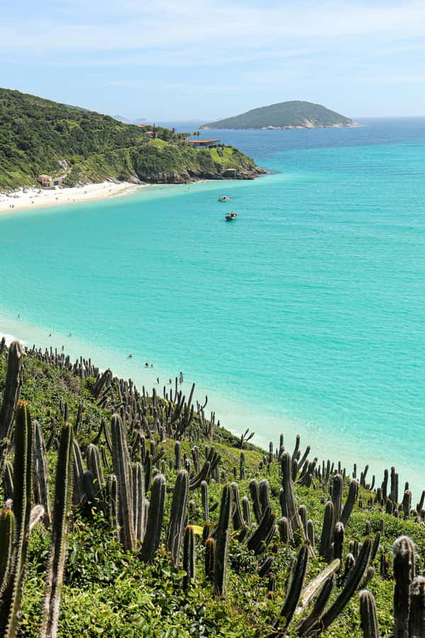 Rio: Best Dive Experience All Inclusive Scuba Diving Package - Who should book this Rio scuba trip?