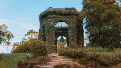 4-Hour Botanical Garden & Tijuca Forest Tour