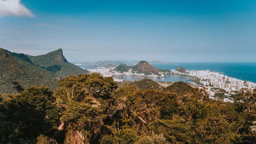 Rio de Janeiro: 4-Hour Botanical Garden & Tijuca Forest Tour - Timing, pickup, and what to pack