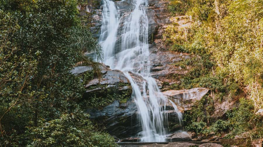 Rio de Janeiro: 4-Hour Botanical Garden & Tijuca Forest Tour - Who will get the most from this tour?