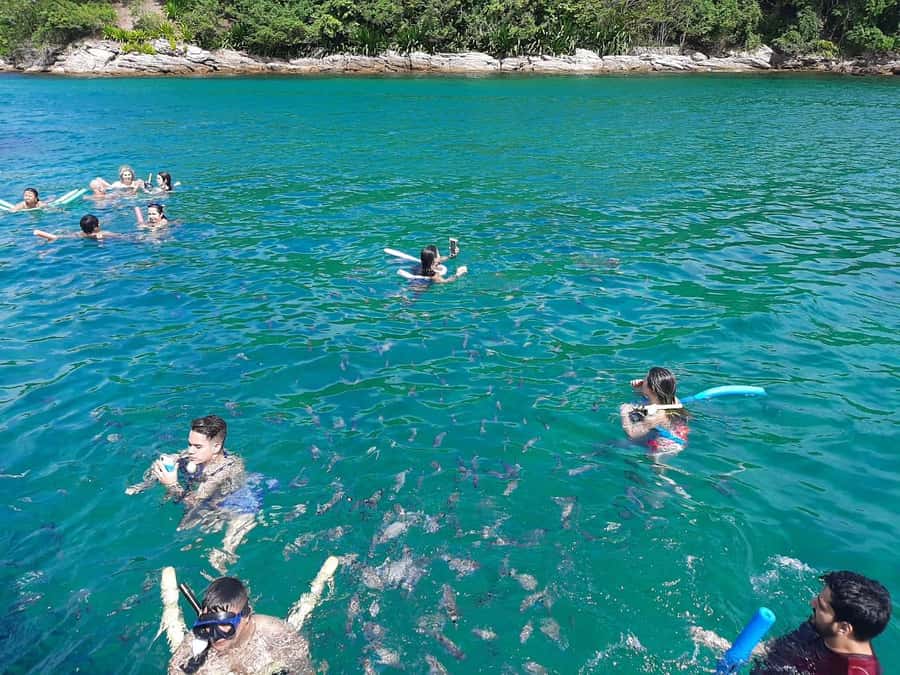 Rio de Janeiro: Angra dos Reis and Ilha Grande Full-Day Tour - What $77 Really Buys You