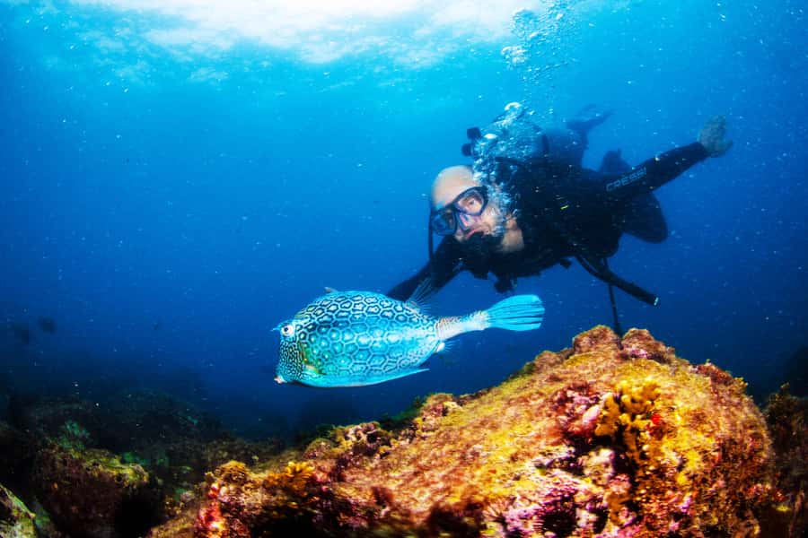 Rio de Janeiro: Arraial do Cabo Scuba Diving Day Trip - Why Arraial do Cabo is worth the long ride