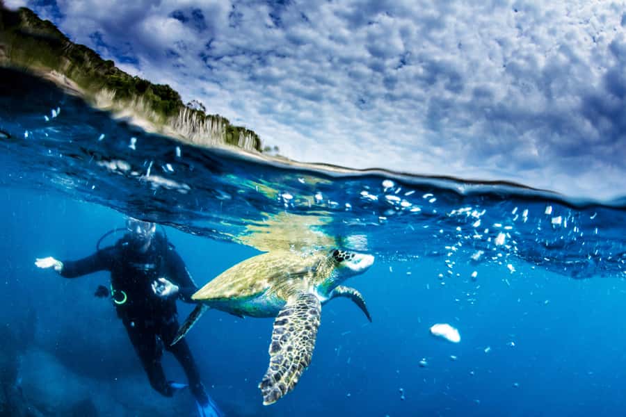 Rio de Janeiro: Arraial do Cabo Scuba Diving Day Trip - Getting ready with the included equipment