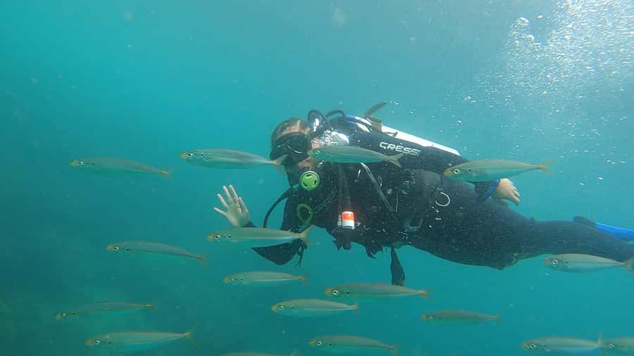 Rio de Janeiro: Arraial do Cabo Scuba Diving Day Trip - What the water time may include