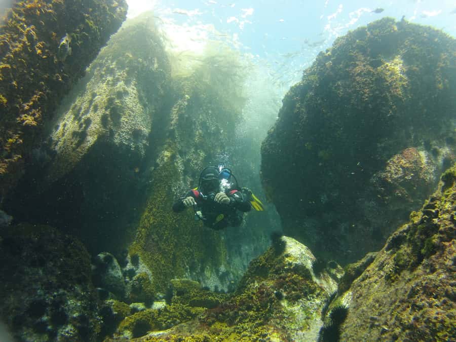 Rio de Janeiro: Arraial do Cabo Scuba Diving Day Trip - The return to Rio and the hidden cost of time