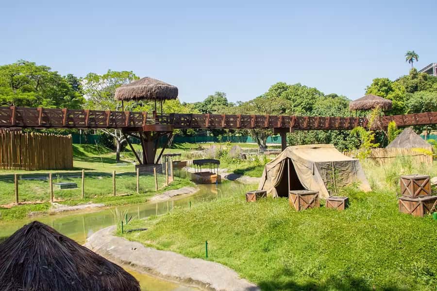 Rio de Janeiro: BioParque Guided Tour with Transfer - Key points to know before booking
