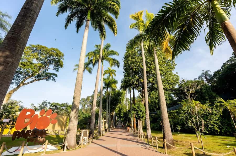 Rio de Janeiro: BioParque Guided Tour with Transfer - Understanding the conservation message