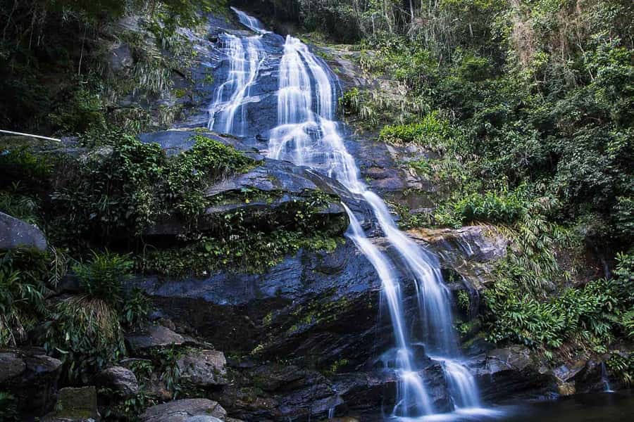 Rio de Janeiro: Botanical Garden & Tijuca Forest Guided Tour - Key details before you book