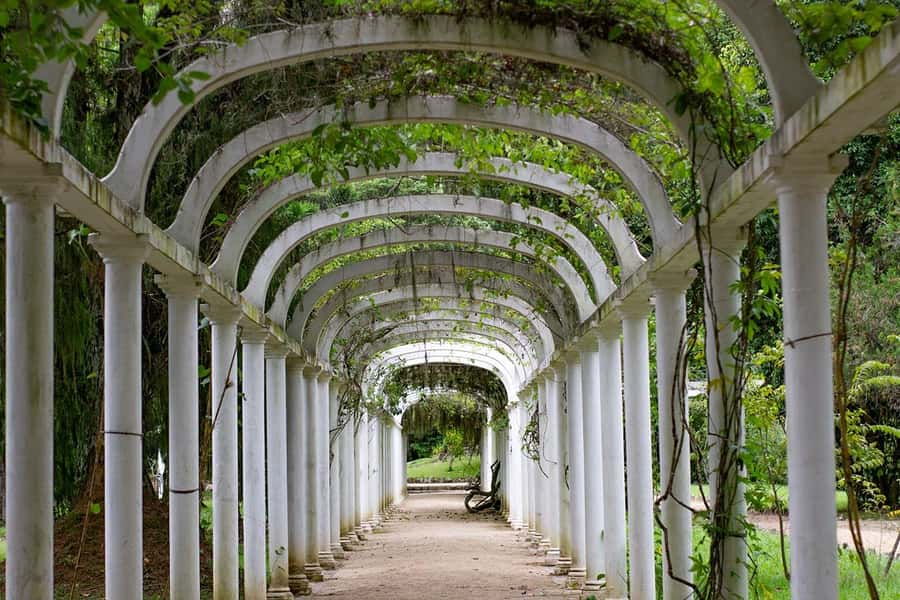 Rio de Janeiro: Botanical Garden & Tijuca Forest Guided Tour - Waterfalls and short forest walks