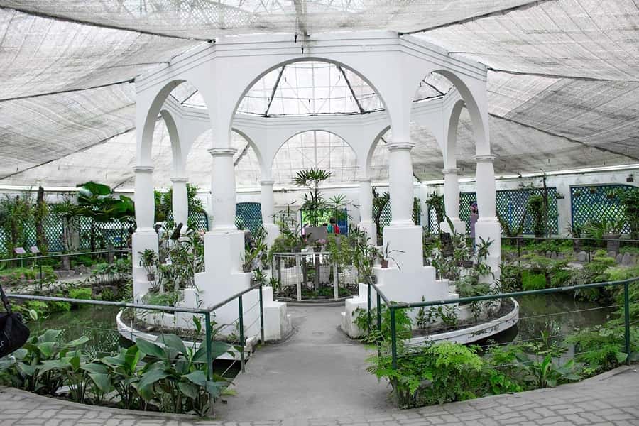 Rio de Janeiro: Botanical Garden & Tijuca Forest Guided Tour - Entering Rio’s Botanical Garden
