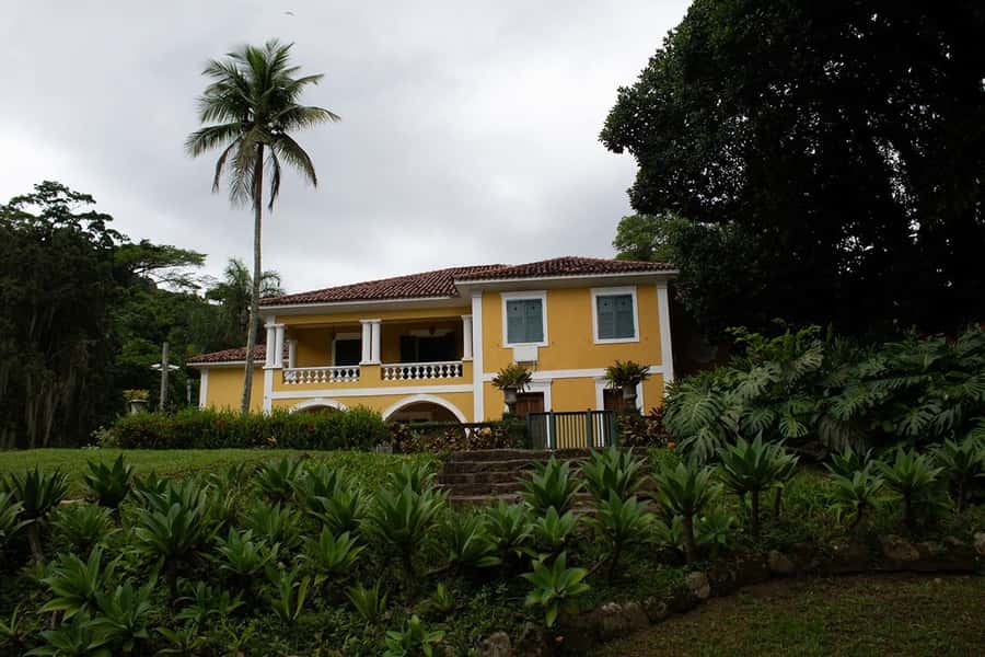Rio de Janeiro: Botanical Garden & Tijuca Forest Guided Tour - Who should book this experience?