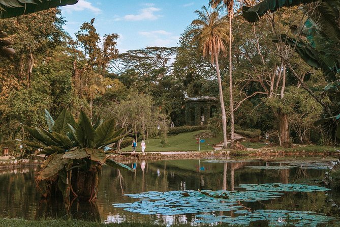 Rio de Janeiro Botanical Garden & Tijuca Forest Tour - A practical start at 1:00 pm