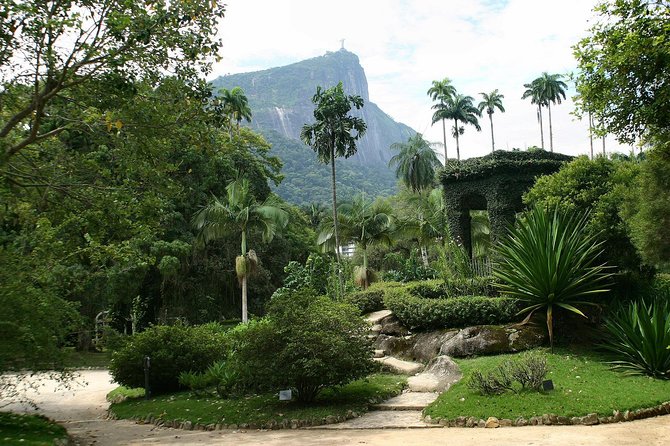 Rio de Janeiro Botanical Garden Tour - Why the Botanical Garden belongs on your Rio itinerary