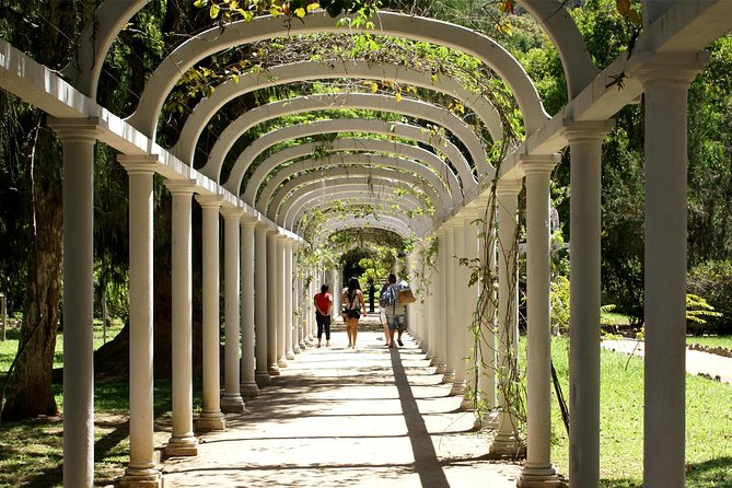 Rio de Janeiro Botanical Garden Tour - Entering a 140-hectare garden beneath Corcovado