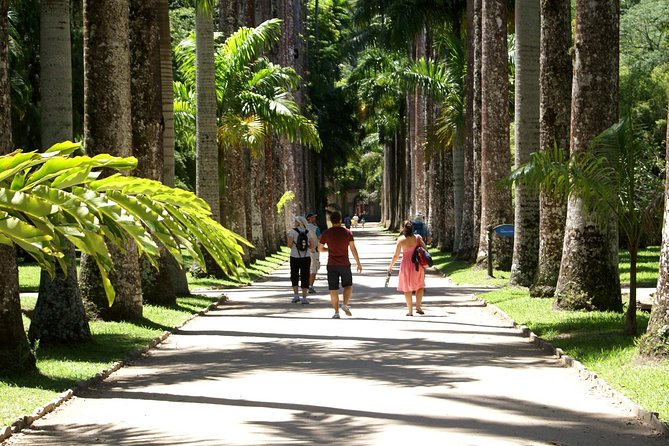 Rio de Janeiro Botanical Garden Tour - Free time for museums, books, and wandering