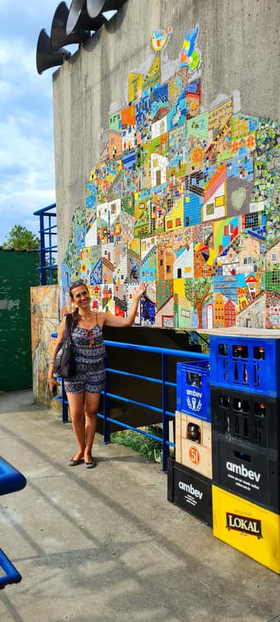 Rio de Janeiro: Favela Santa Marta Tour with Resident Guide - Local food, shopping, and Michael Jackson Square