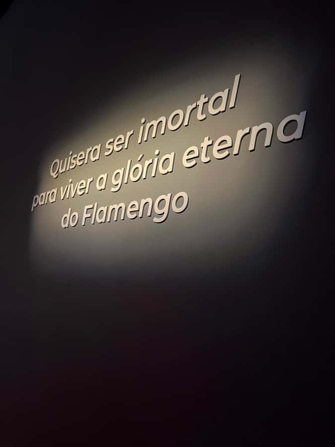 Rio de Janeiro: Flamengo Museum Ticket Entrance - Key things to know before your visit