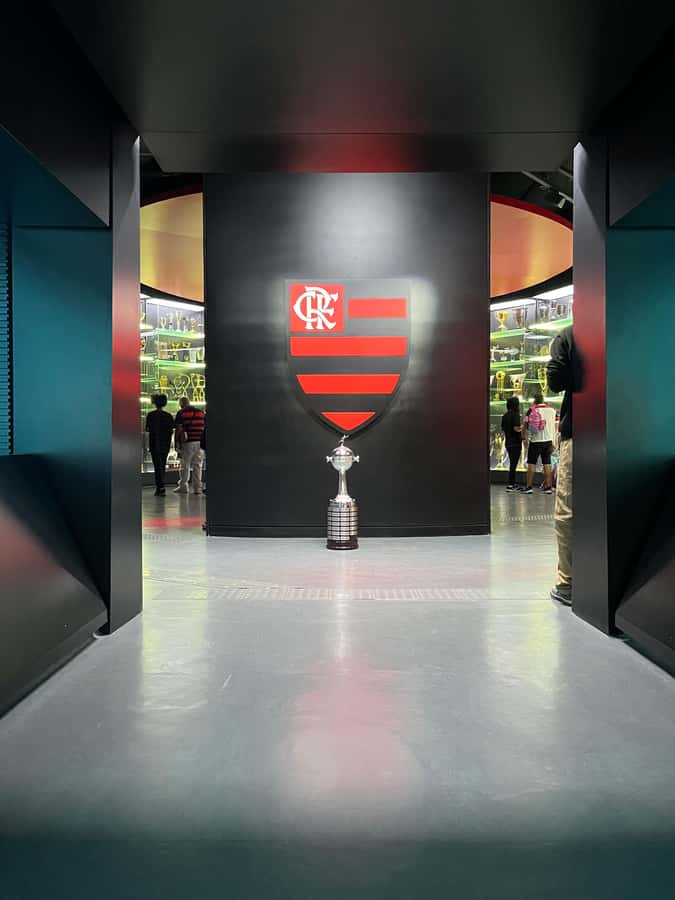 Rio de Janeiro: Flamengo Museum Ticket Entrance - Fourteen sections with screens and sensory rooms