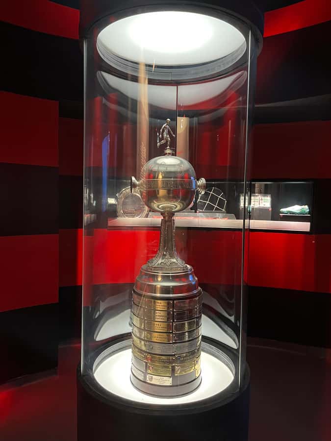 Rio de Janeiro: Flamengo Museum Ticket Entrance - Famous idols and historic objects
