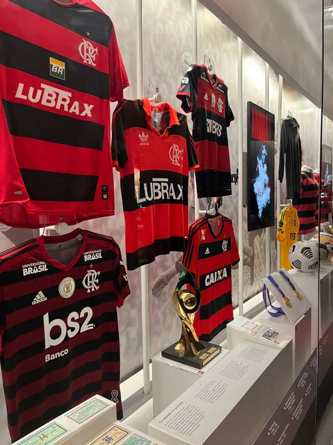 Rio de Janeiro: Flamengo Museum Ticket Entrance - What the visit feels like in Gávea