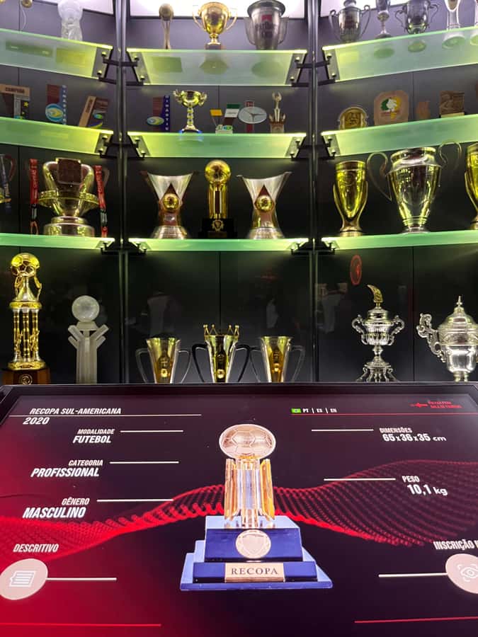 Rio de Janeiro: Flamengo Museum Ticket Entrance - Who will enjoy it most?