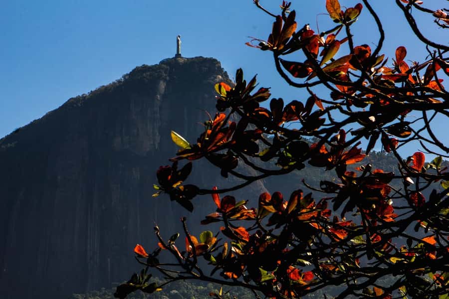 Rio de Janeiro: Guided Bike Tours in Small Groups - Key points to know before you book