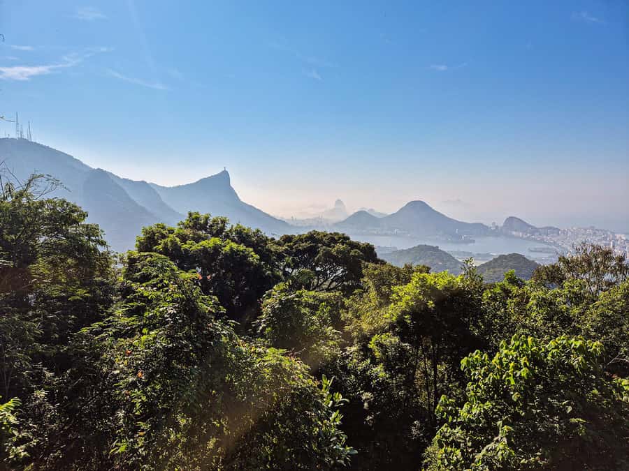 Rio de Janeiro: Guided Jeep Tour through Tijuca Rainforest - Timing, weather, and what to pack