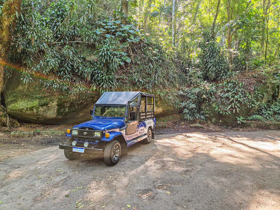 Rio de Janeiro: Guided Jeep Tour through Tijuca Rainforest - Emperor’s Table and the historic stops