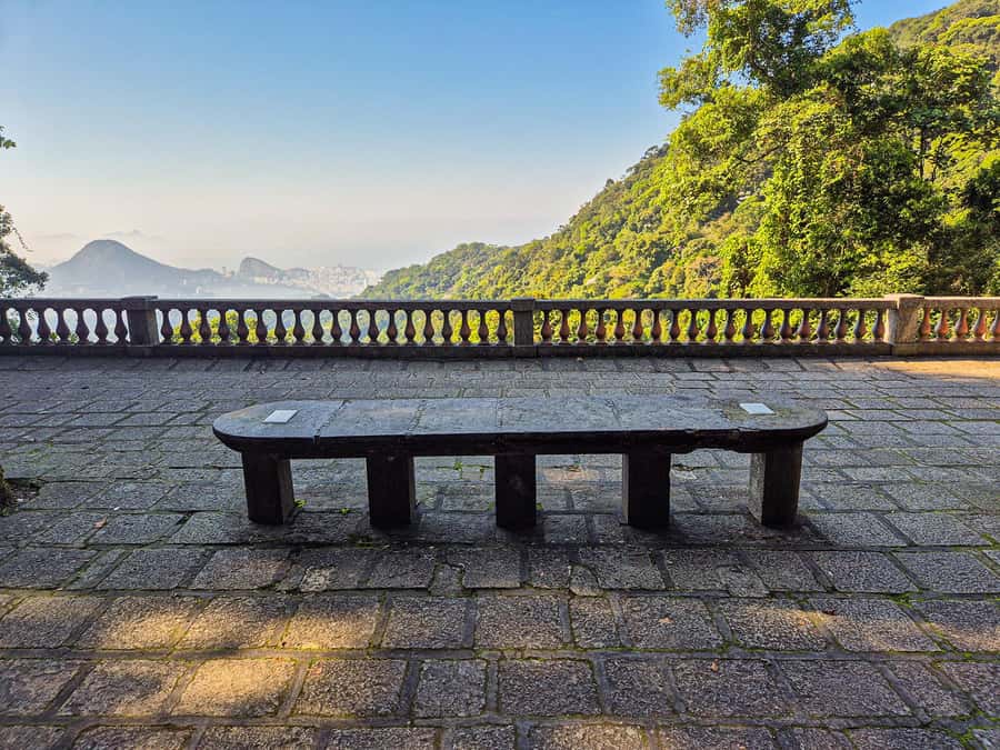 Rio de Janeiro: Guided Jeep Tour through Tijuca Rainforest - The one-hour forest hike