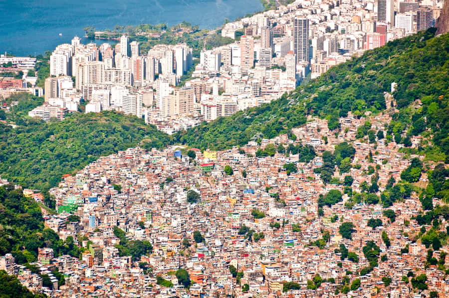 Rio De Janeiro: Half-Day Rocinha Favela Walking Tour - Starting at Copacabana Palace