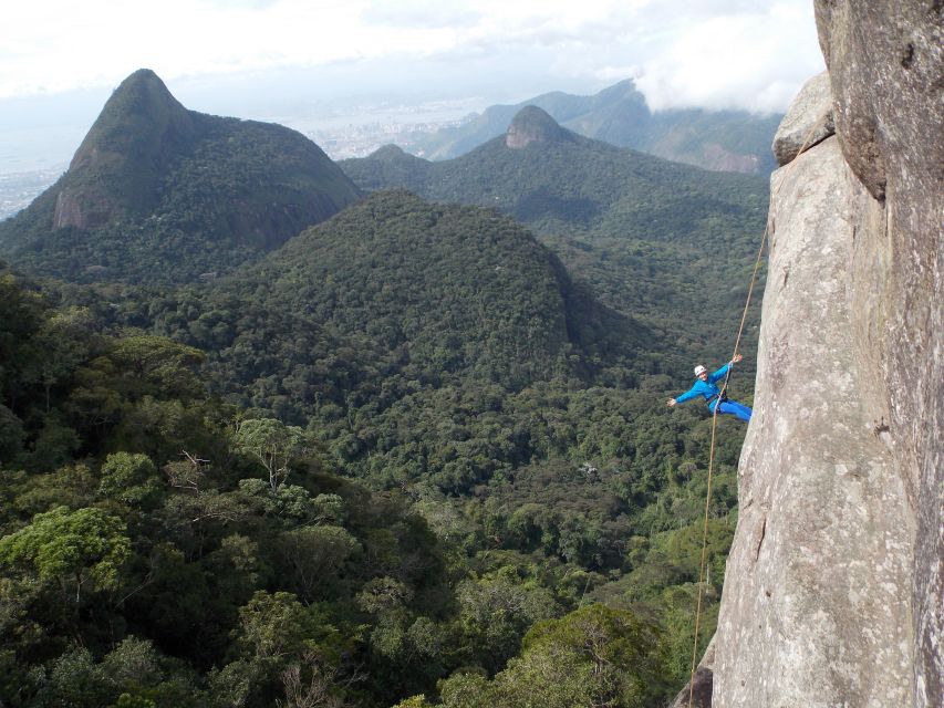 Rio de Janeiro: Hiking and Rappelling at Tijuca Forest - Why Tijuca Forest makes this more than a city escape