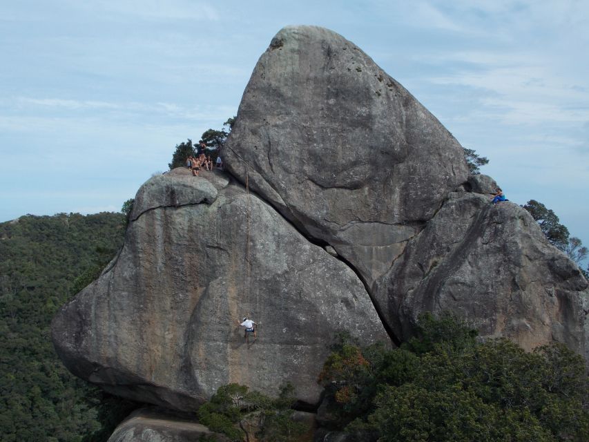 Rio de Janeiro: Hiking and Rappelling at Tijuca Forest - What is included for $59