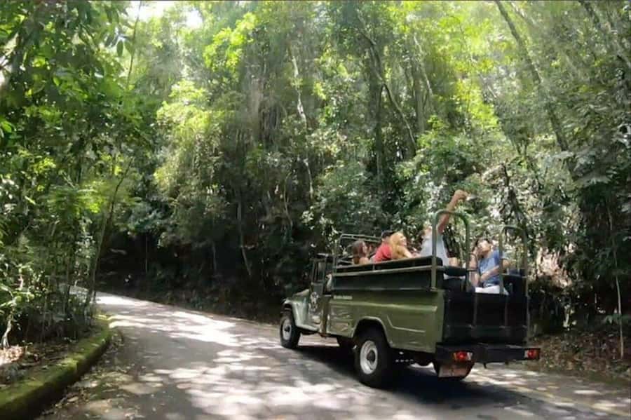 Rio de Janeiro: Jeep Tour Christ the Redeemer + Sugar Loaf - Is $155 a good value?